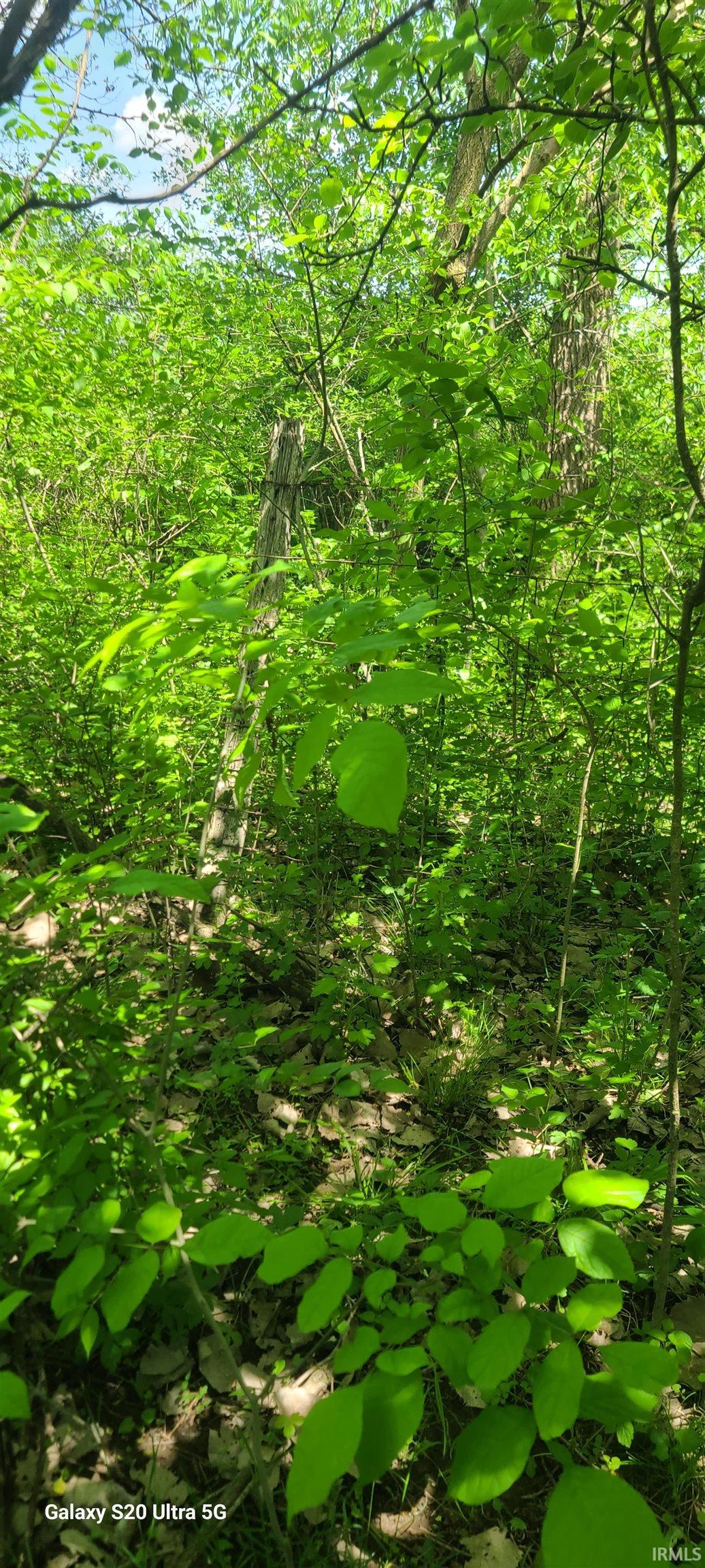 4432 East 200 South Marion, IN 46953 - Photo 14 of 16