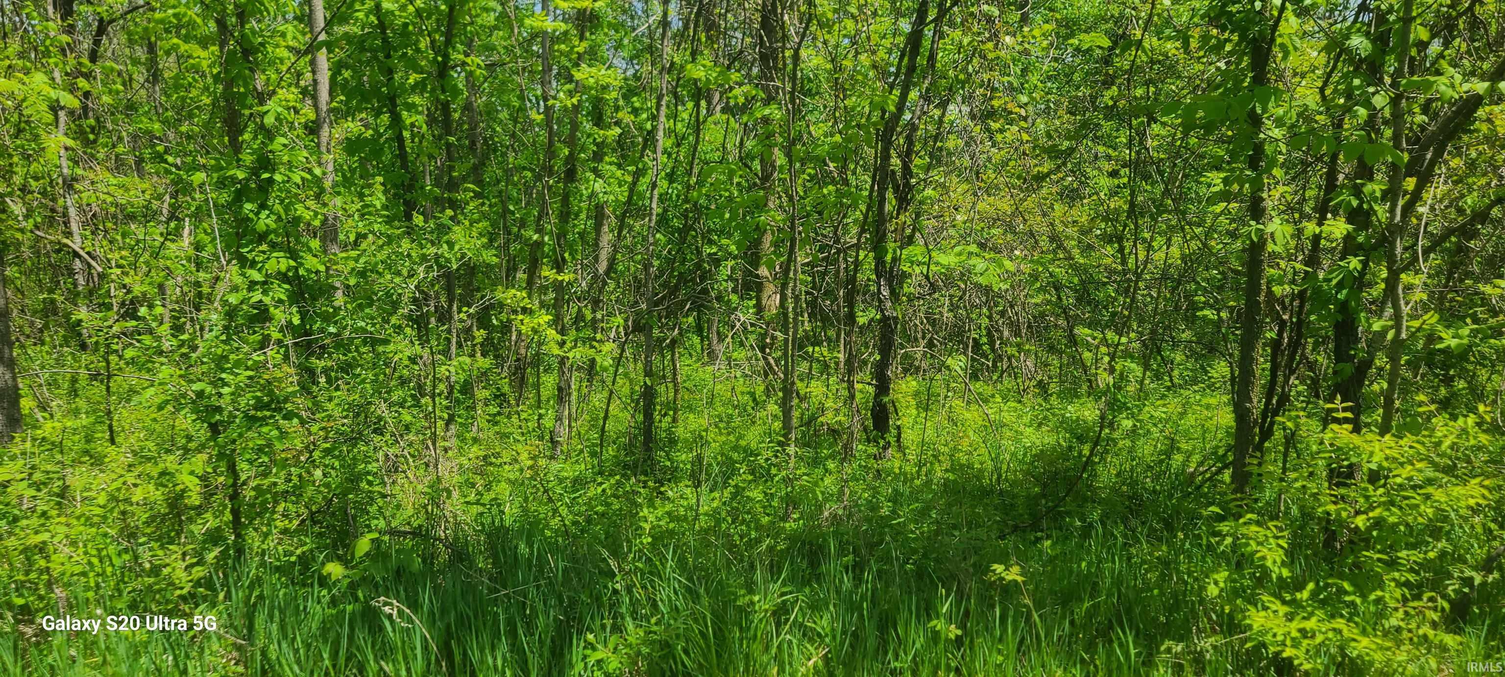 4432 East 200 South Marion, IN 46953 - Photo 4 of 16