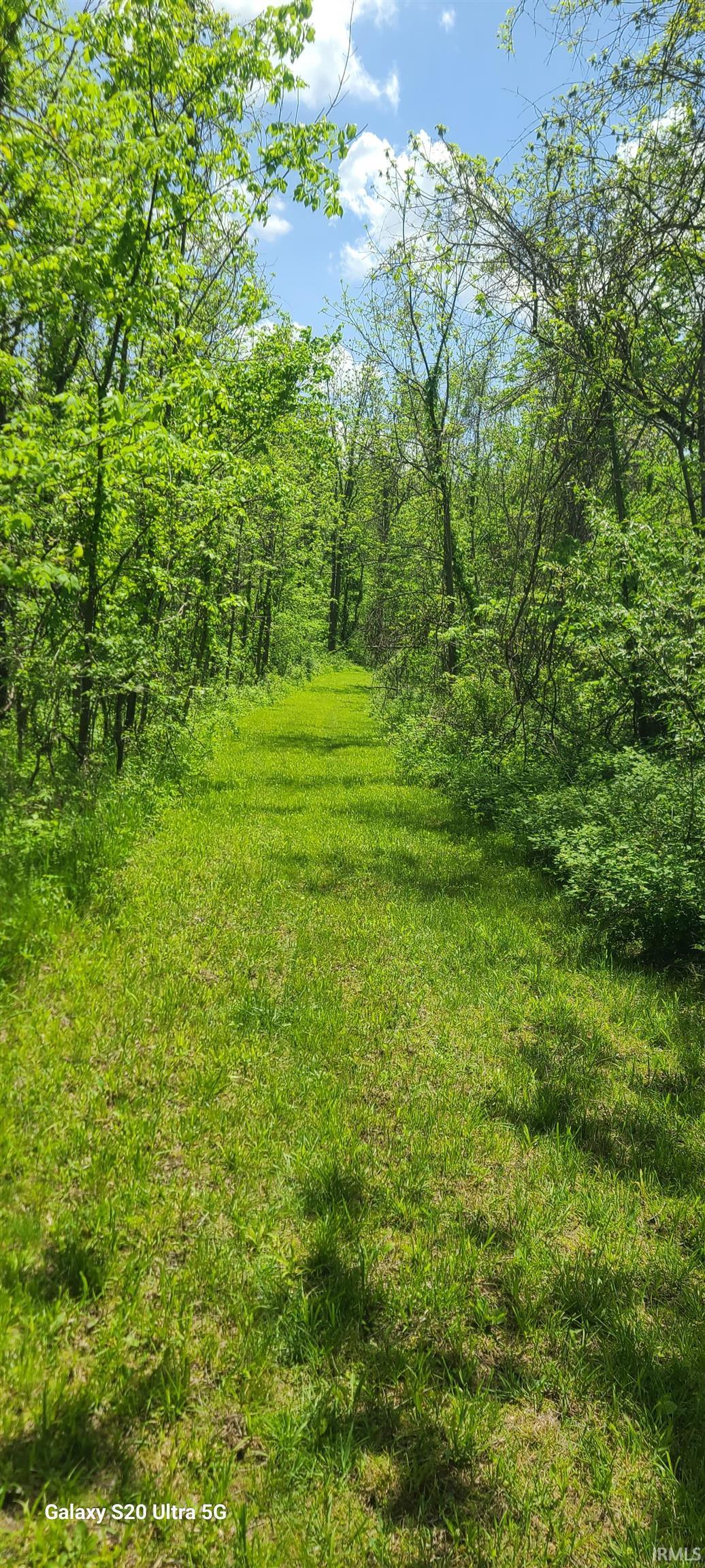 4432 East 200 South Marion, IN 46953 - Photo 5 of 16
