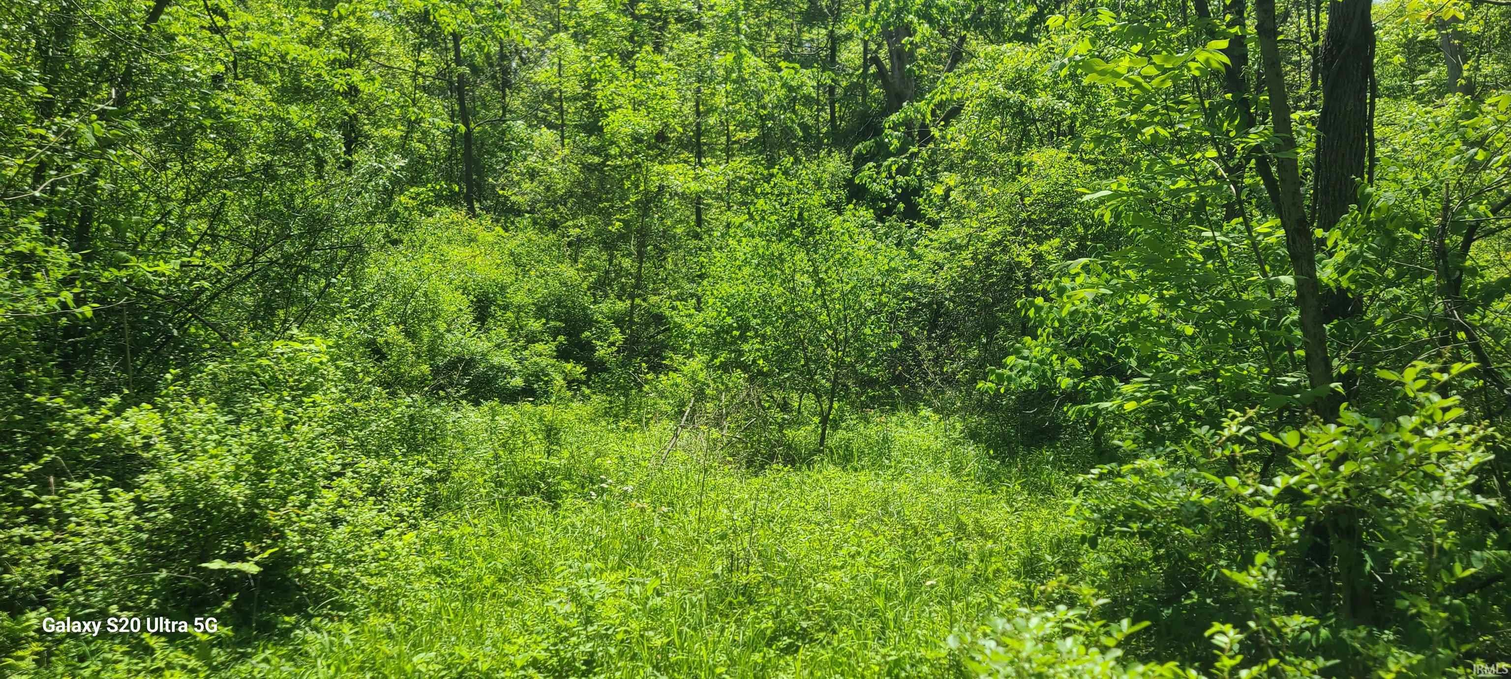 4432 East 200 South Marion, IN 46953 - Photo 8 of 16