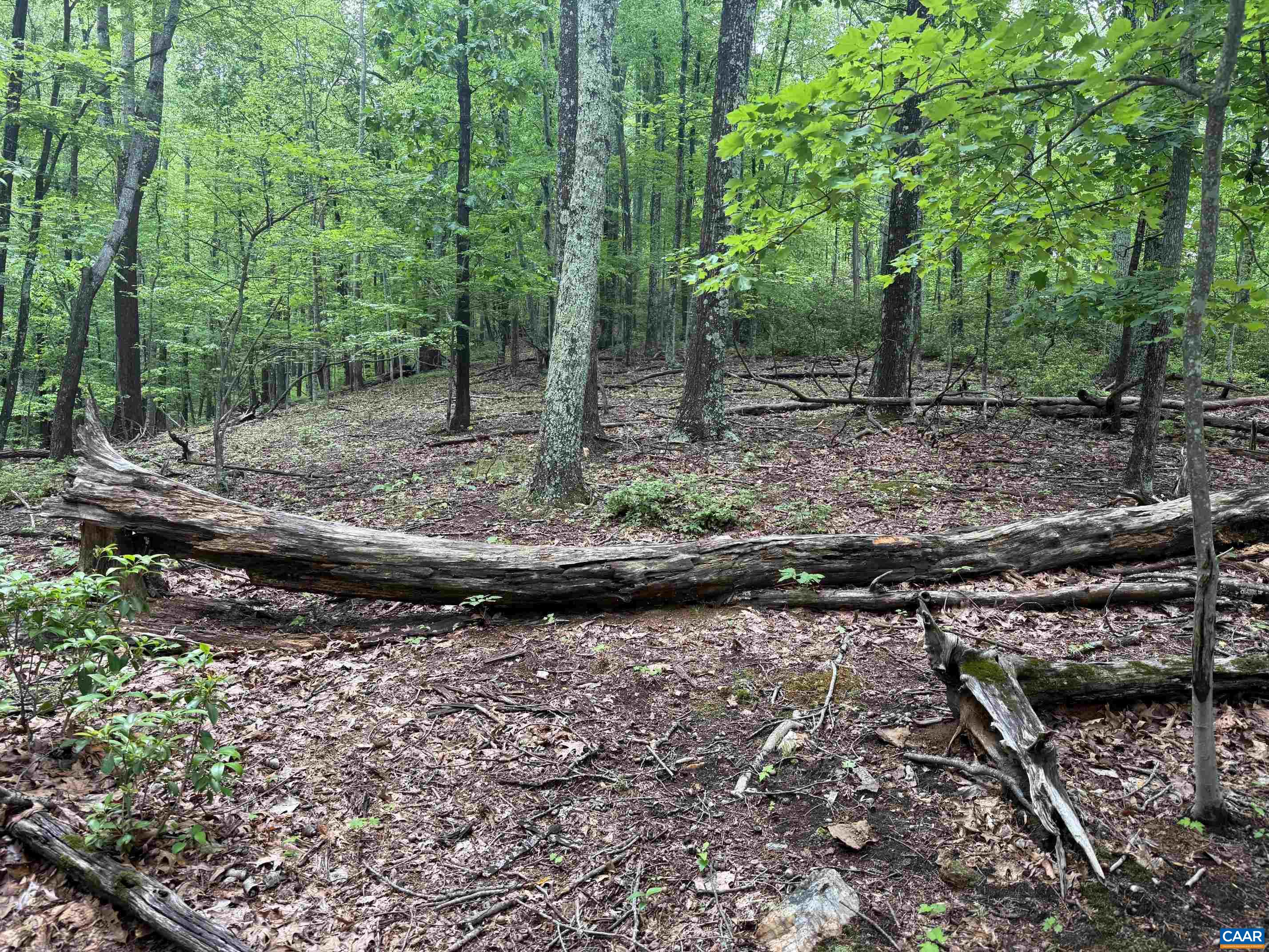 Tbd Rabbit Valley Road North Garden, VA 22959 - Photo 5 of 6