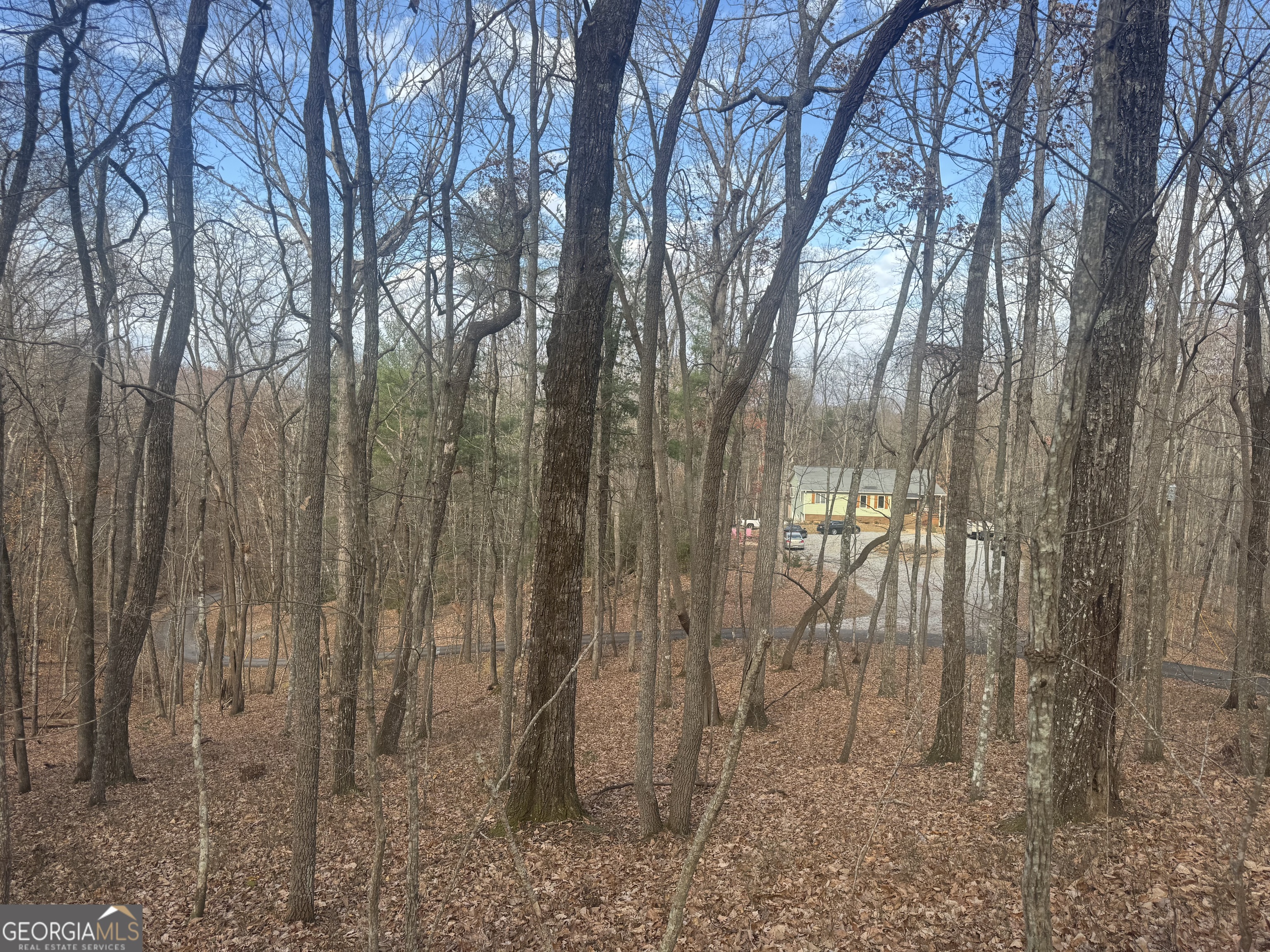 0 Geneva Place Sautee Nacoochee, GA 30571 - Photo 2 of 3