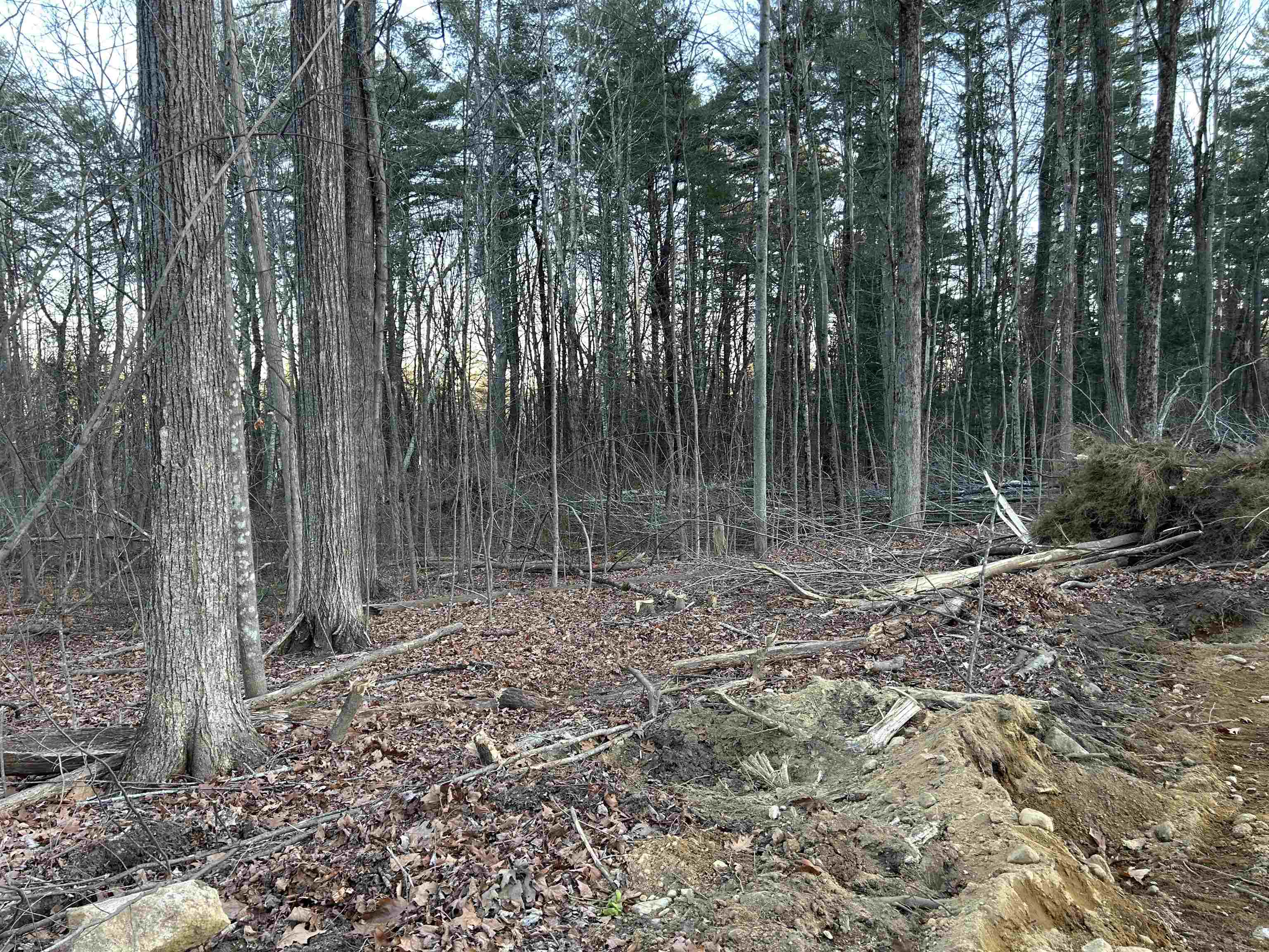 2-47 Old Amherst Road Mont Vernon, NH 03057 - Photo 11 of 17