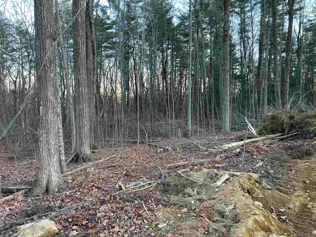 $1,100,000 | 2-47 Old Amherst Road, Mont Vernon, NH 03057