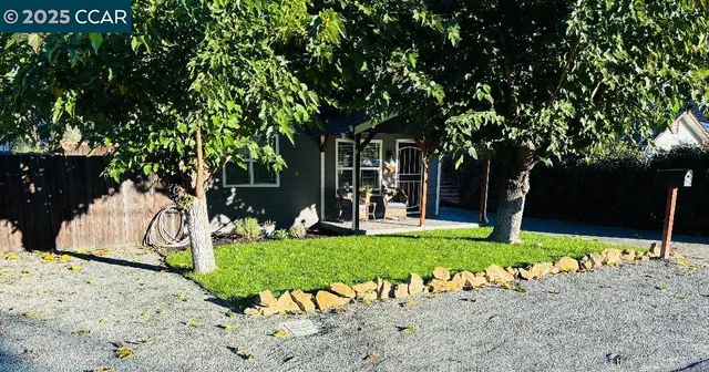 a view of a house with a backyard and a tree