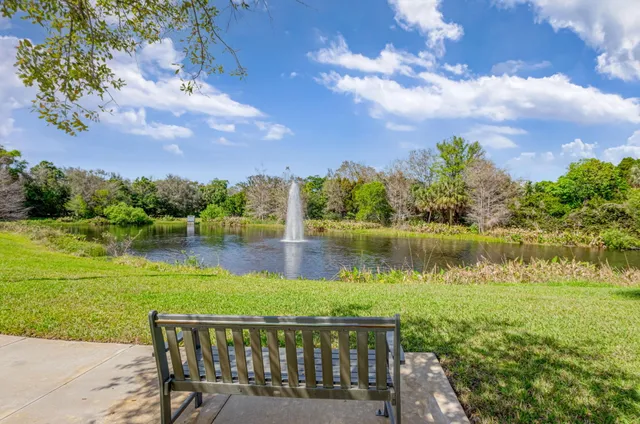 a view of a house with a swimming pool and a large tree