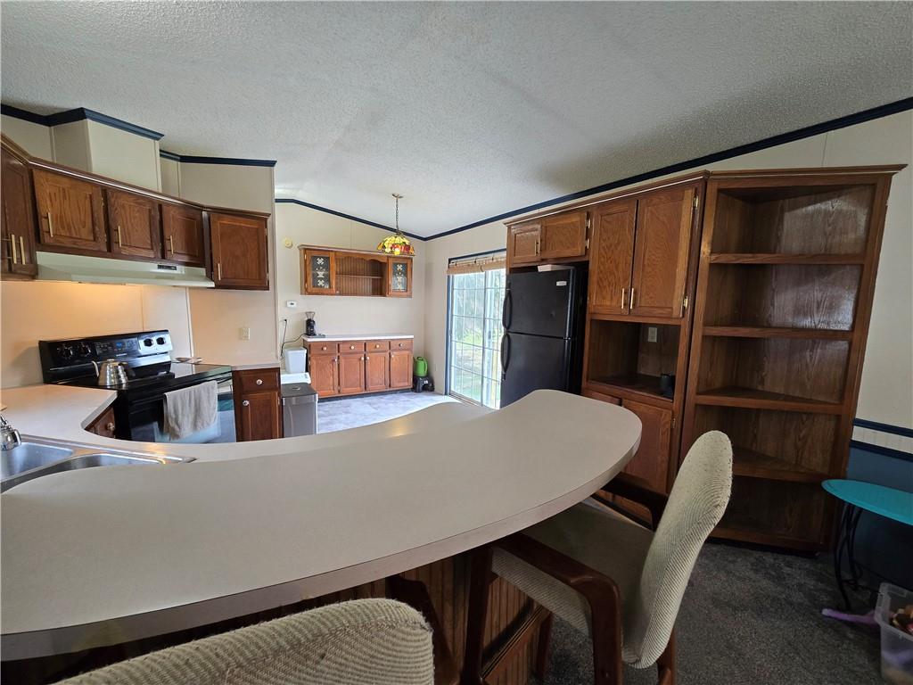 540 Finks Run Road McDonald, PA 15057 - Photo 11 of 39 a living room with furniture a rug and kitchen view