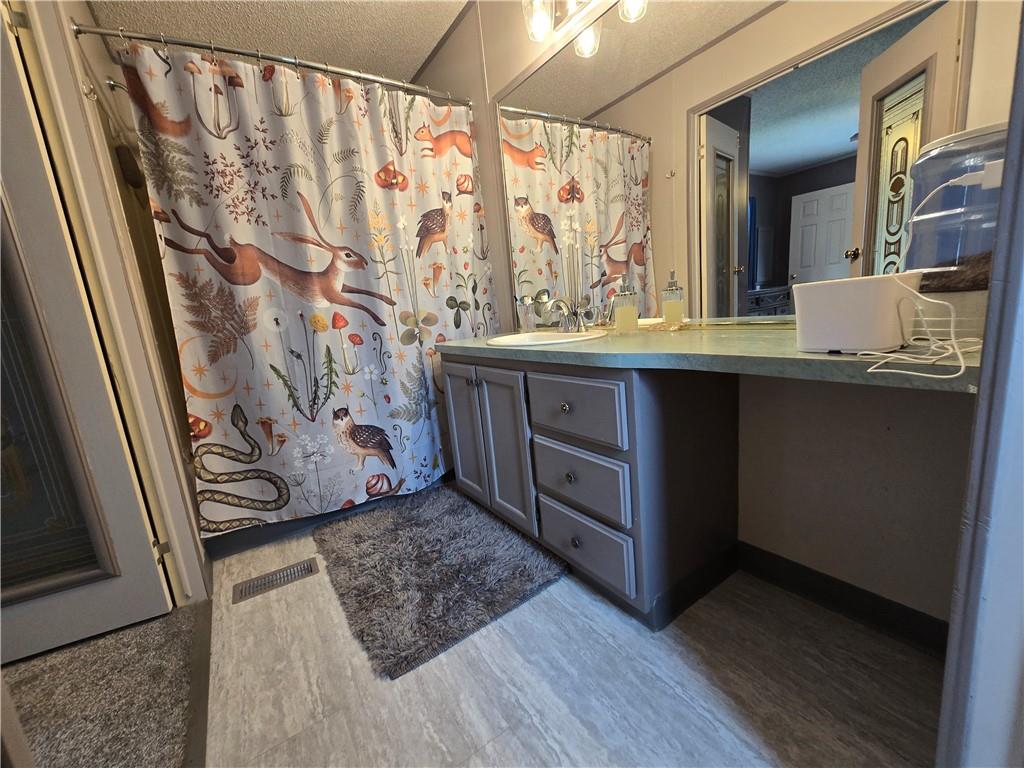 540 Finks Run Road McDonald, PA 15057 - Photo 23 of 39 a bathroom with a sink a mirror and a shower