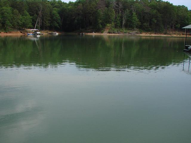 63-64 Shelor Ferry Road Fair Play, SC 29643 - Photo 4 of 8 Gallery Image 4