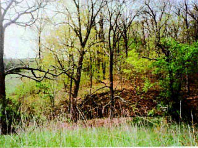 0 Hill Road Circleville, OH 43113 - Photo 1 of 1 Gallery Image 1