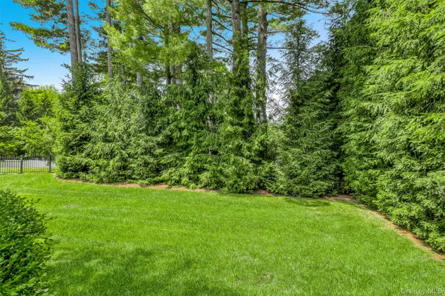 a view of yard with green space