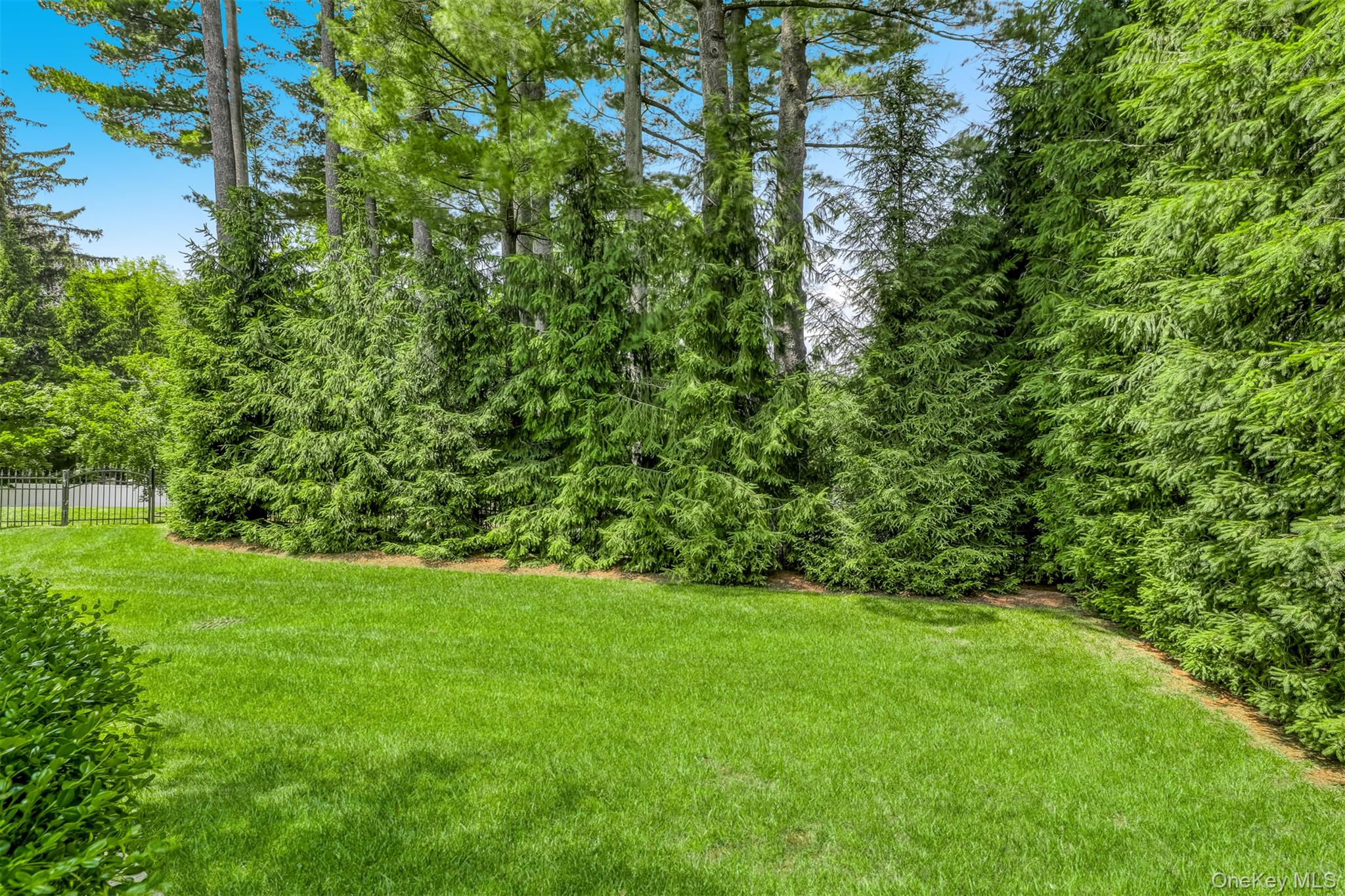 6 Par Road Suffern, NY 10901 - Photo 35 of 41 a view of yard with green space