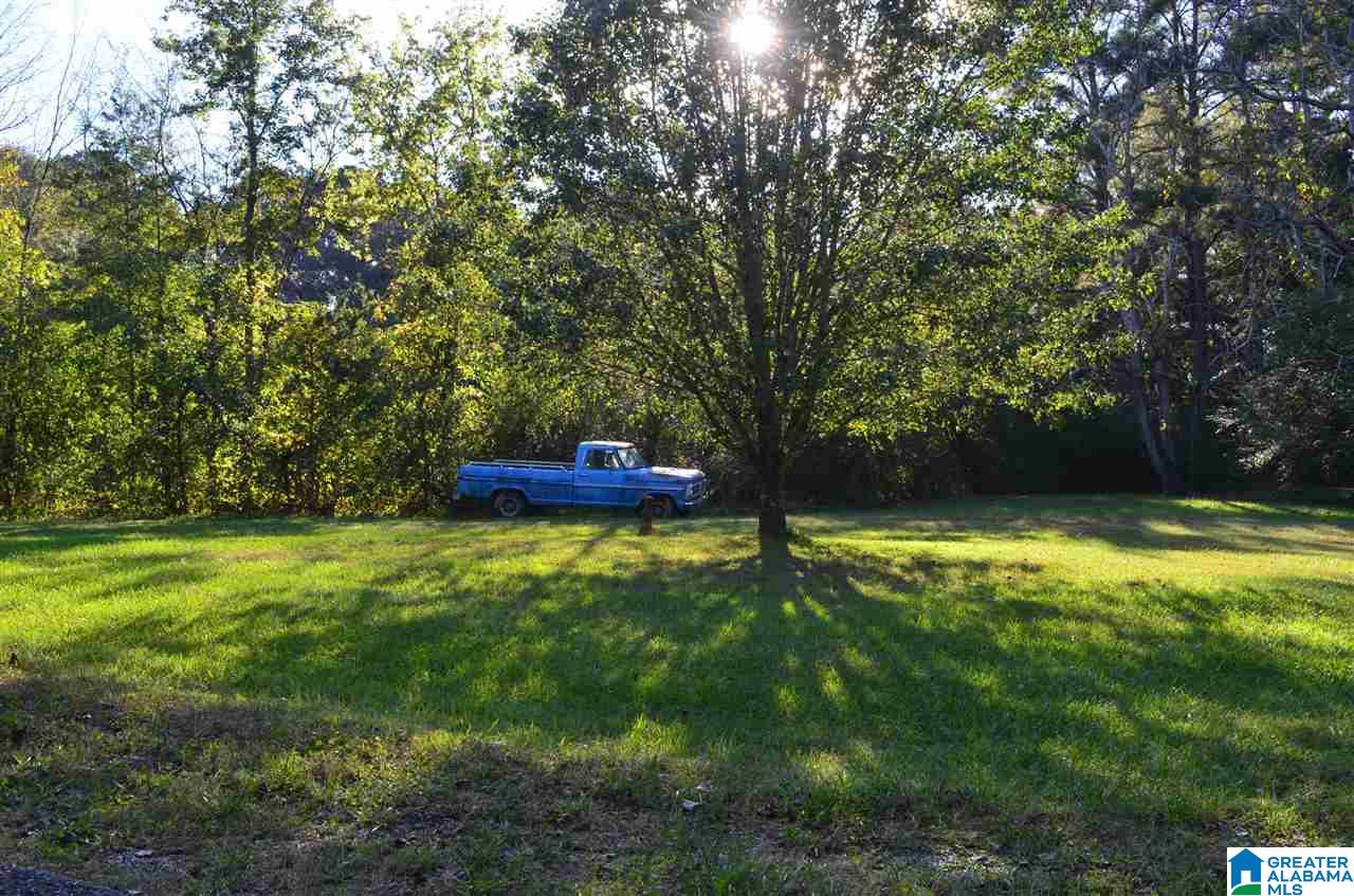 3916 Bethel Road Pinson, AL 35126 - Photo 28 of 29