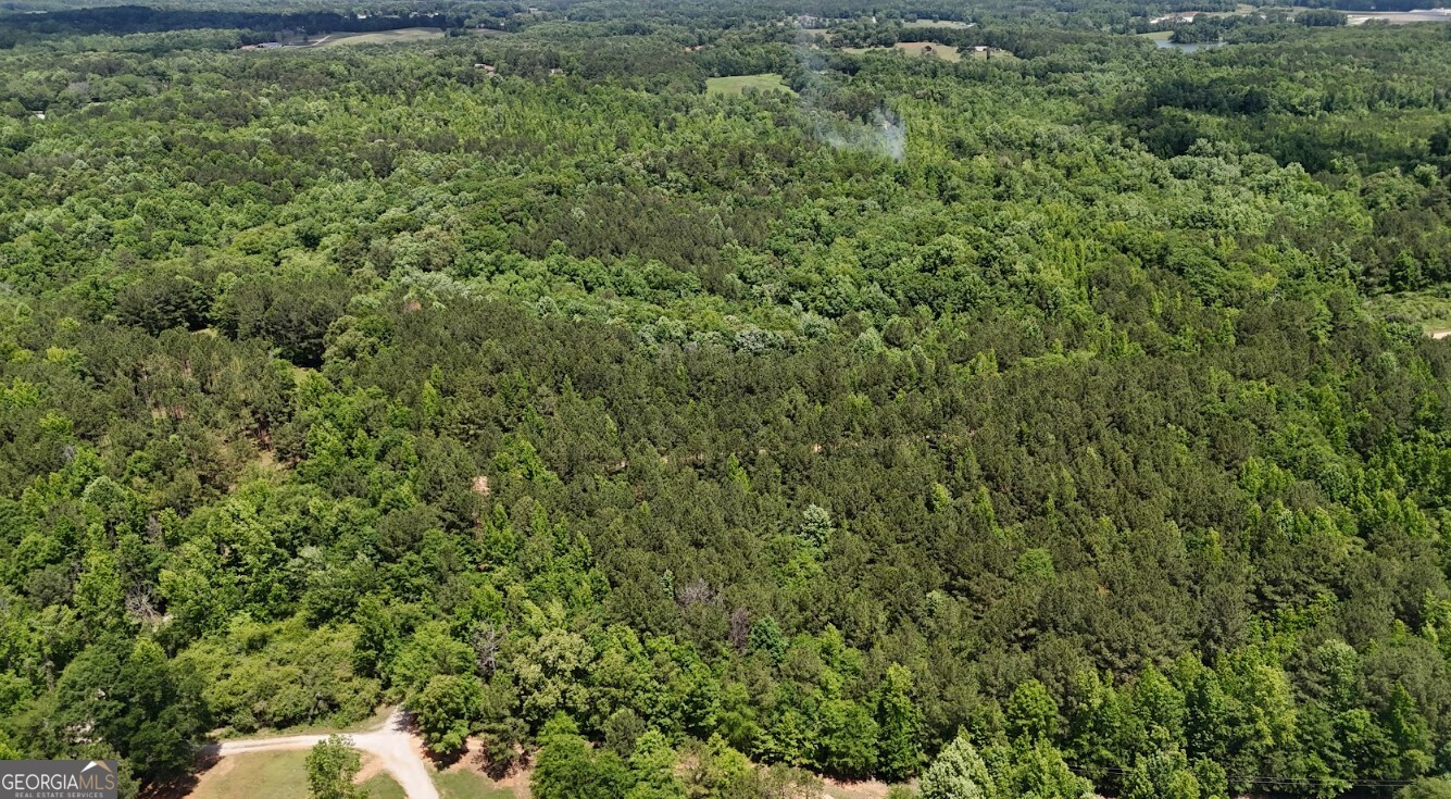 0 Creek Road, Unit LOT 8 Ashland, AL 36251 - Photo 7 of 25