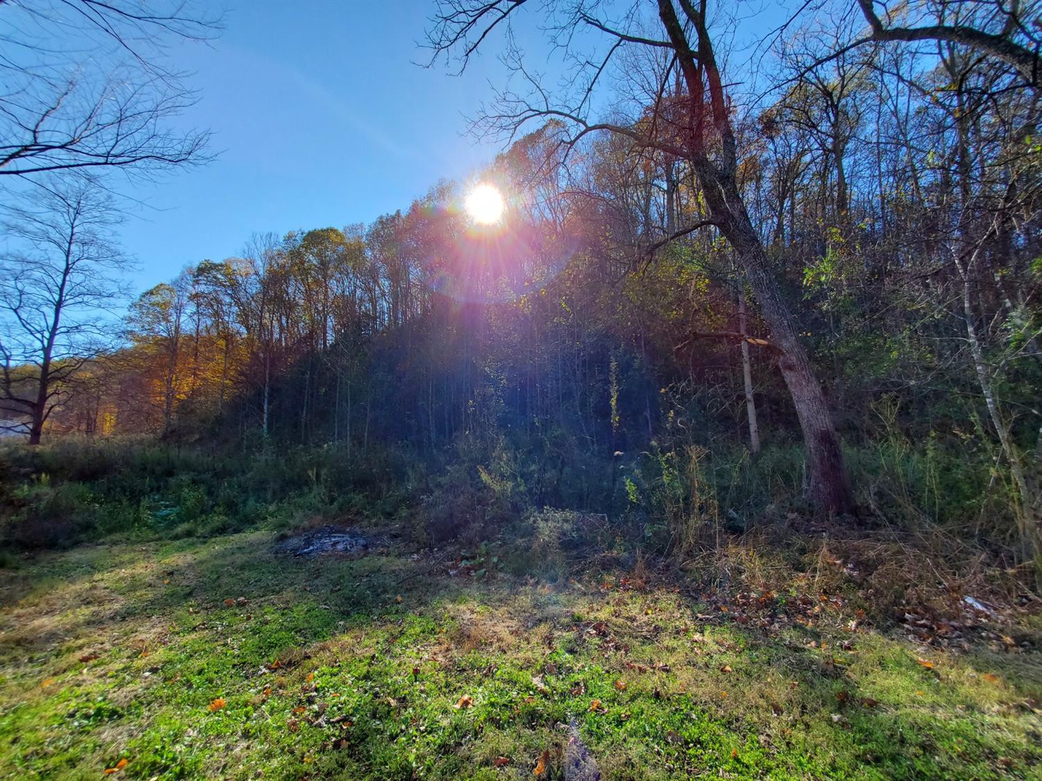 1893 South Mill Branch Road Clearfield, KY 40313 - Photo 11 of 32 Photo 11
