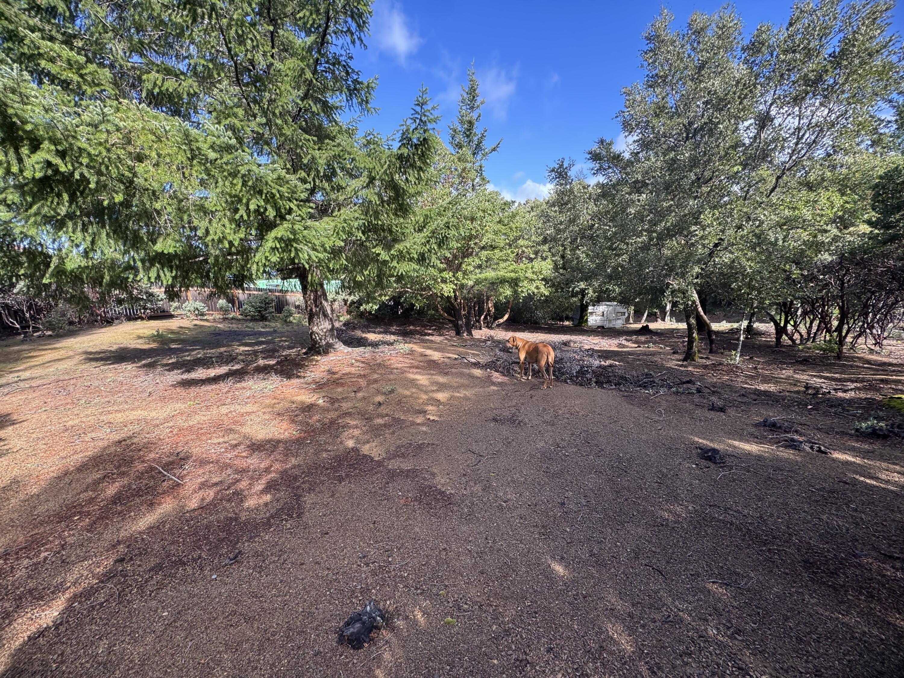 129 Vance Road Shelter Cove, CA 95589 - Photo 6 of 8