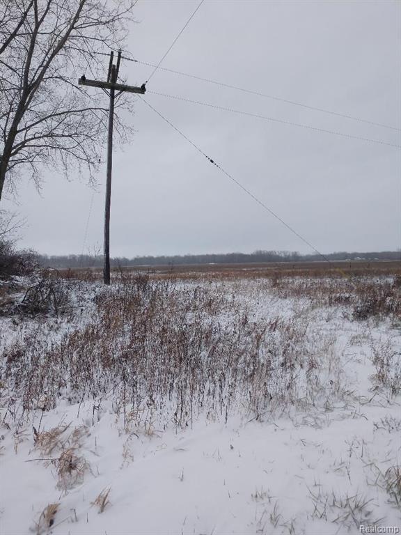 13878 Fisher Road Yale, MI 48097 - Photo 2 of 4