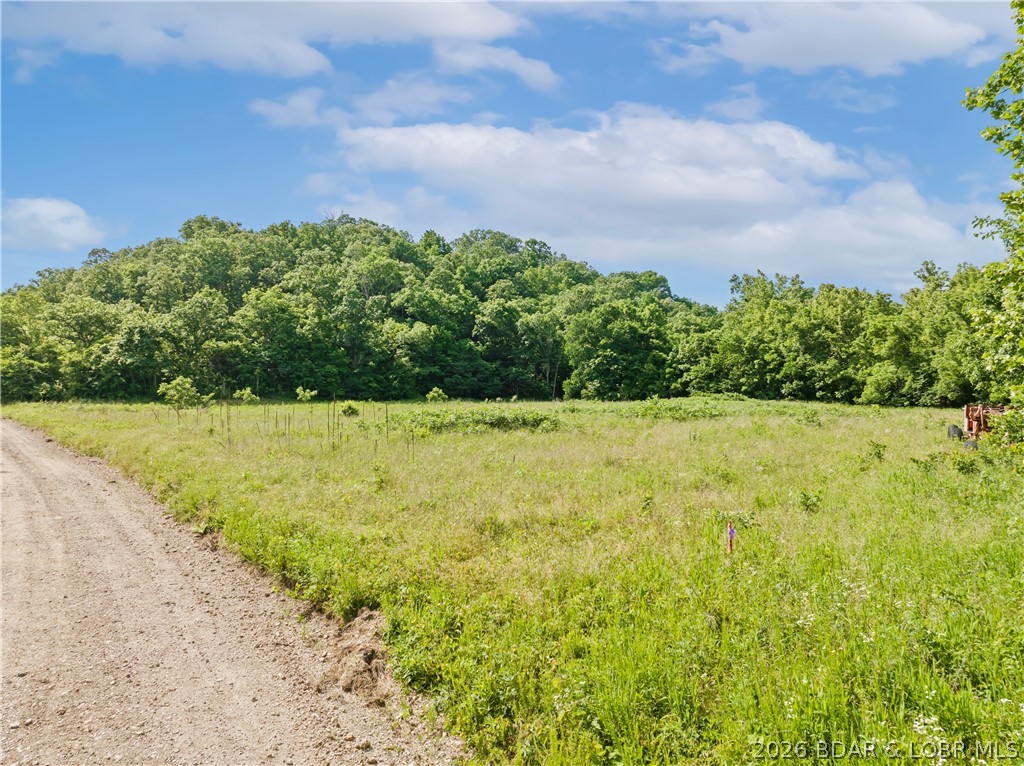 Broads Branch Road Macks Creek, MO 65786 - Photo 4 of 13 Mostly Open & some Wooded area