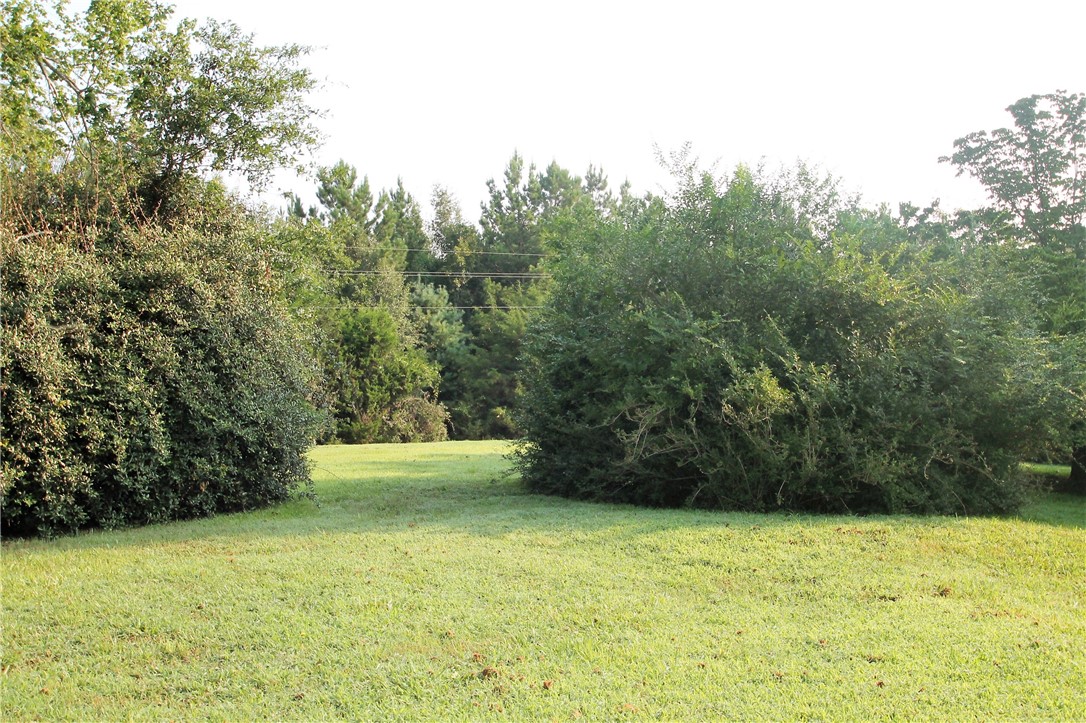 233 Lay Bridge Road Central, SC 29630 - Photo 31 of 47
