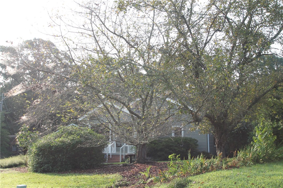 233 Lay Bridge Road Central, SC 29630 - Photo 33 of 47