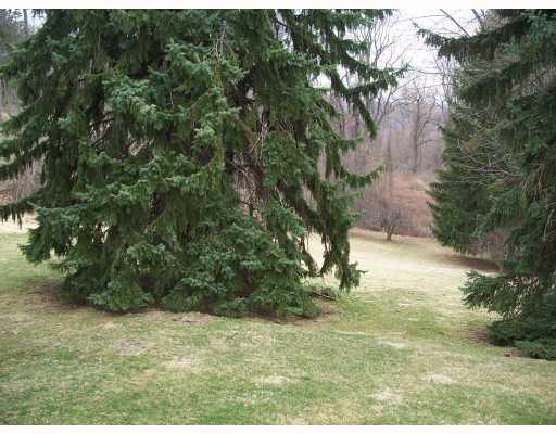 61 Fremont Road Charleroi, PA 15022 - Photo 8 of 9 Yard/Garden.
