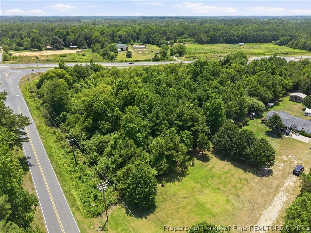 0 Boren Brick Road Roseboro, NC 28382 - Photo 12 of 15
