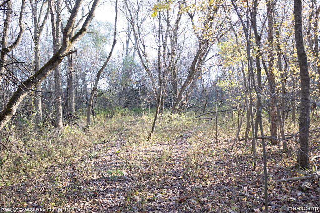 4683 Jeddo Road Fort Gratiot, MI 48059 - Photo 21 of 52