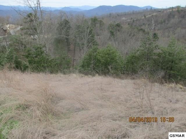 129 Bluff Mountain Road Sevierville, TN 37876 - Photo 4 of 7 Gallery Image 4