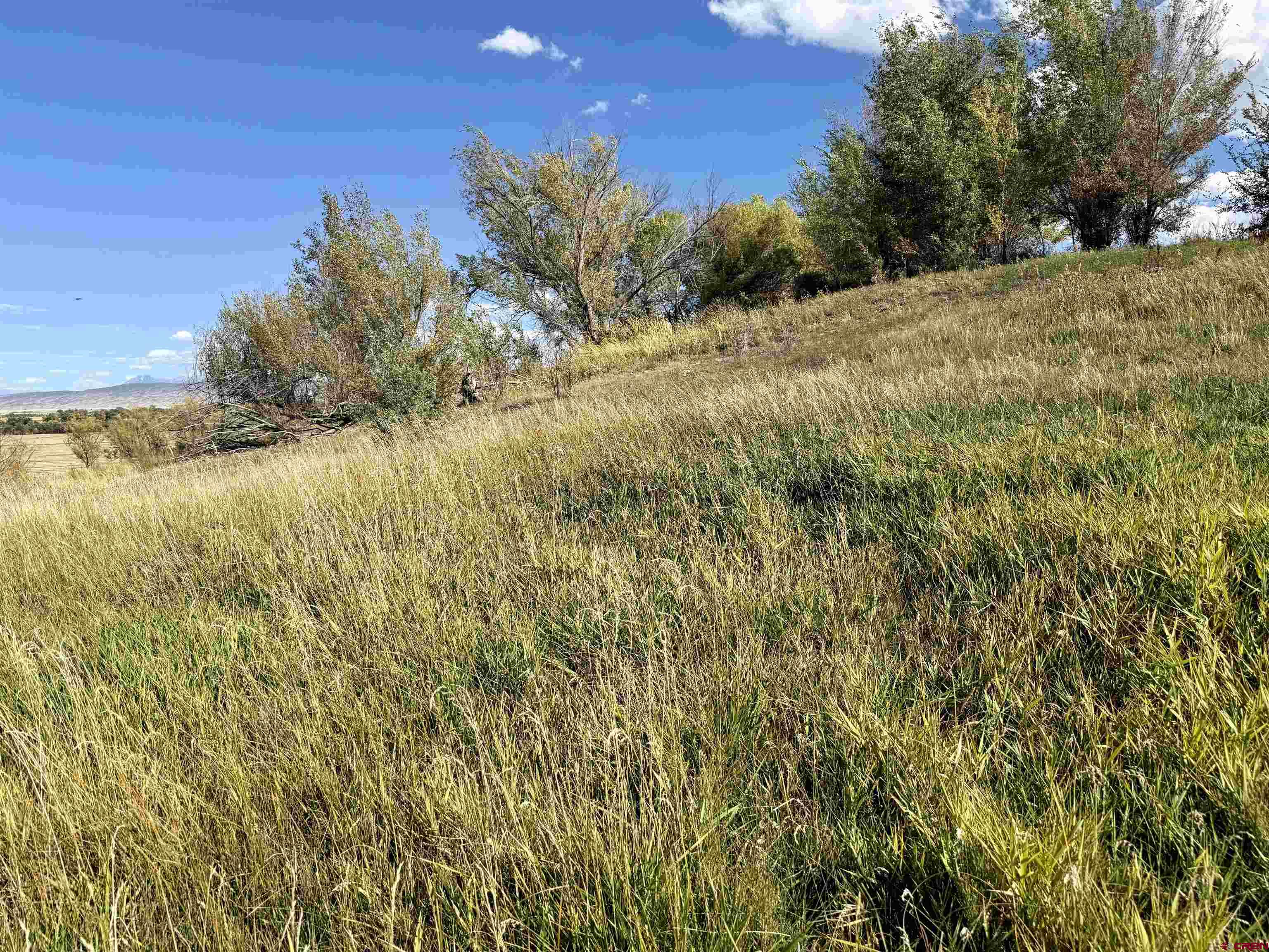 3726 5500th Road Olathe, CO 81425 - Photo 13 of 31 a view of a yard with an outdoor space