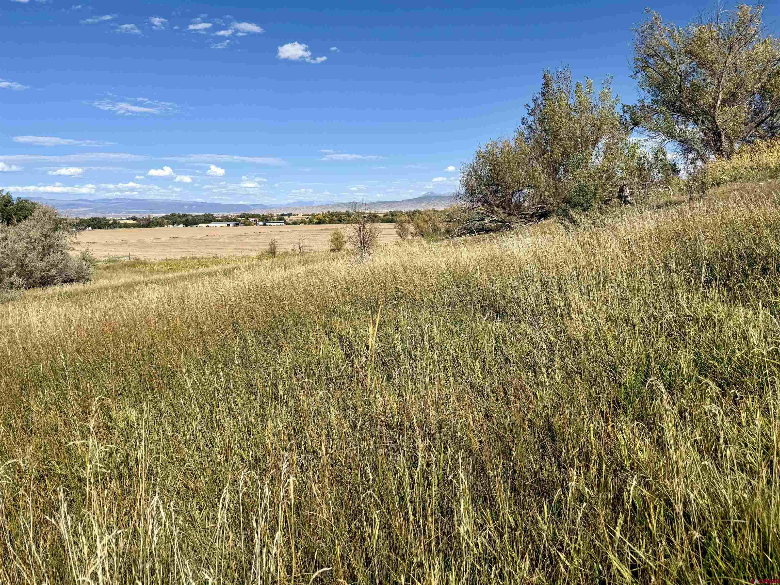 3726 5500th Road Olathe, CO 81425 - Photo 14 of 31 a view of an ocean