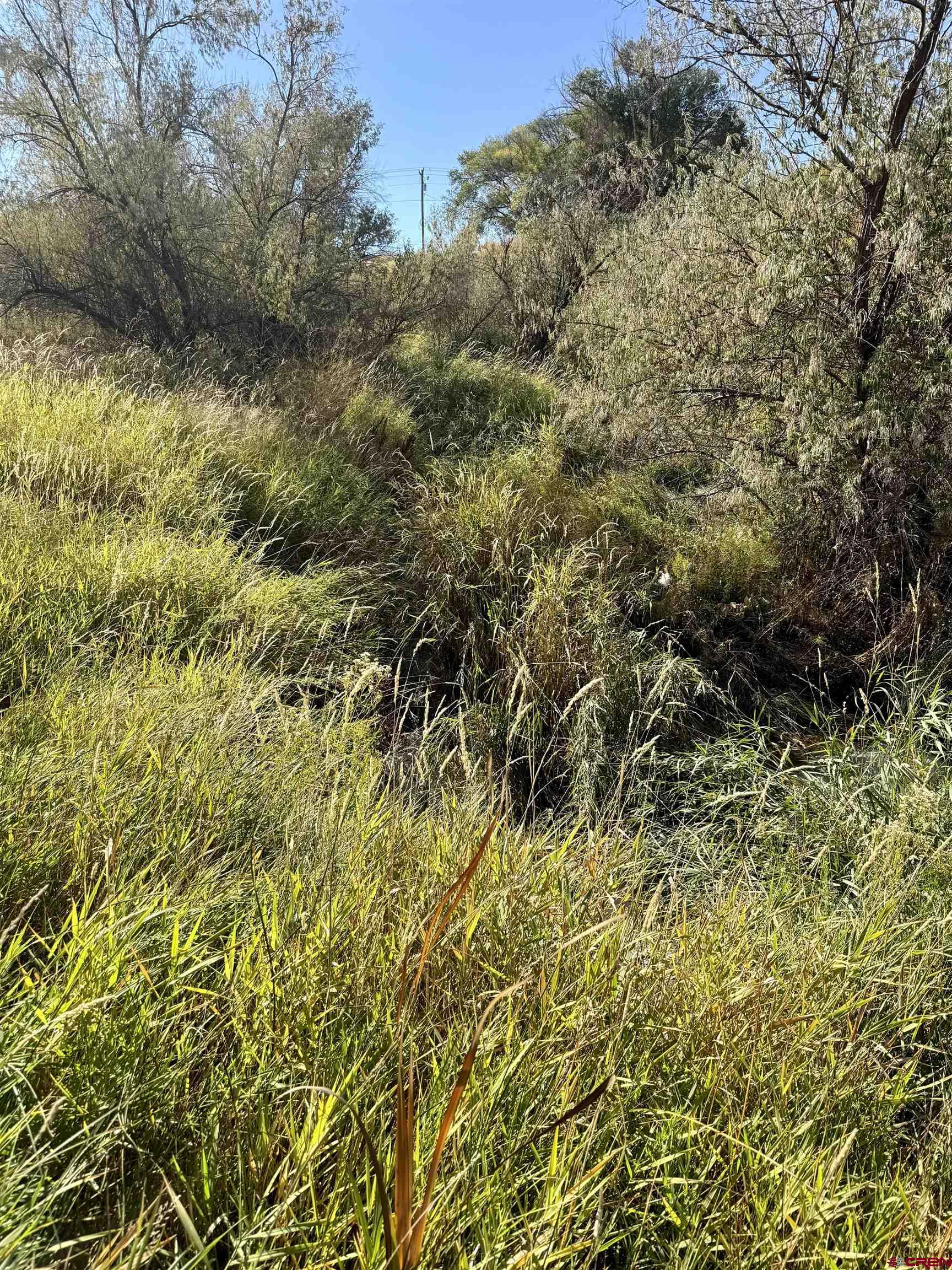 3726 5500th Road Olathe, CO 81425 - Photo 16 of 31 a view of a yard of a building