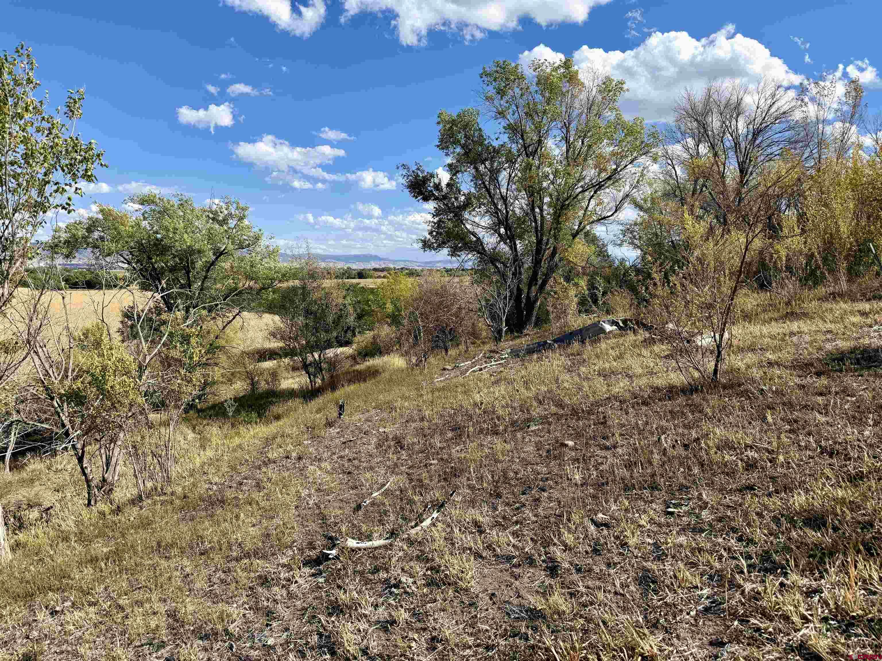 3726 5500th Road Olathe, CO 81425 - Photo 20 of 31 a view of a yard with wooden fence