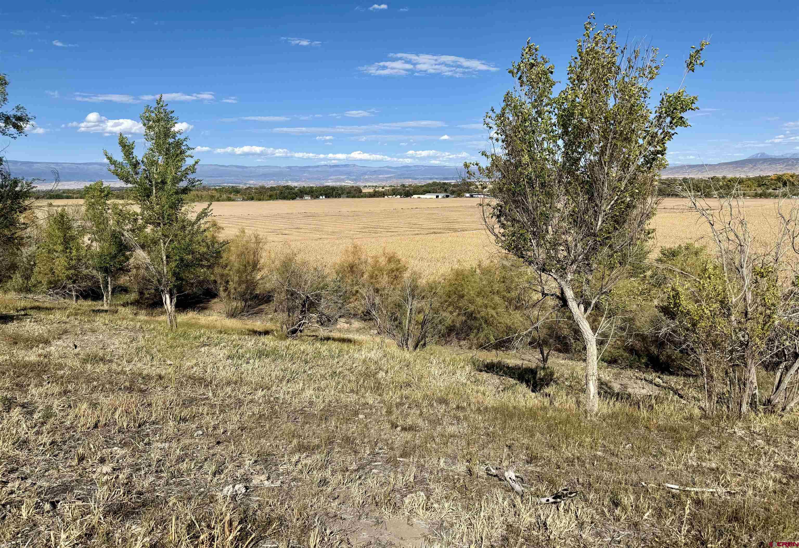 3726 5500th Road Olathe, CO 81425 - Photo 7 of 31
