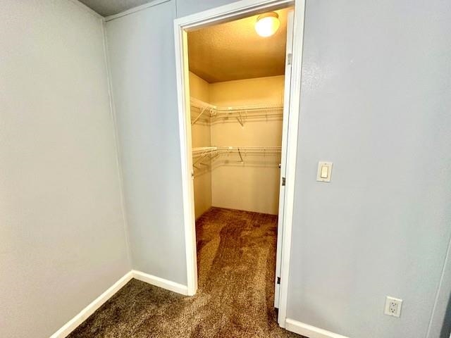 875 20 Road Fruita, CO 81521 - Photo 24 of 40 a view of bathroom from a bathroom