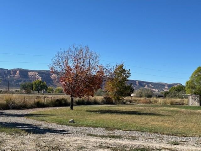 875 20 Road Fruita, CO 81521 - Photo 39 of 40