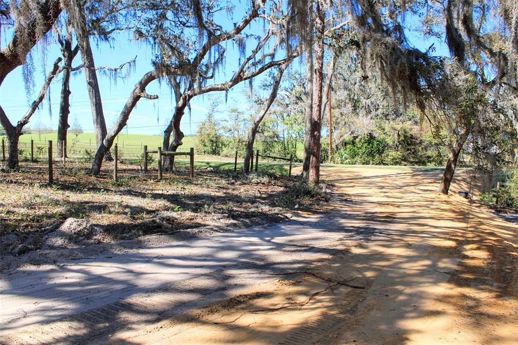 0 St Joe Road Dade City, FL 33525 - Photo 4 of 13