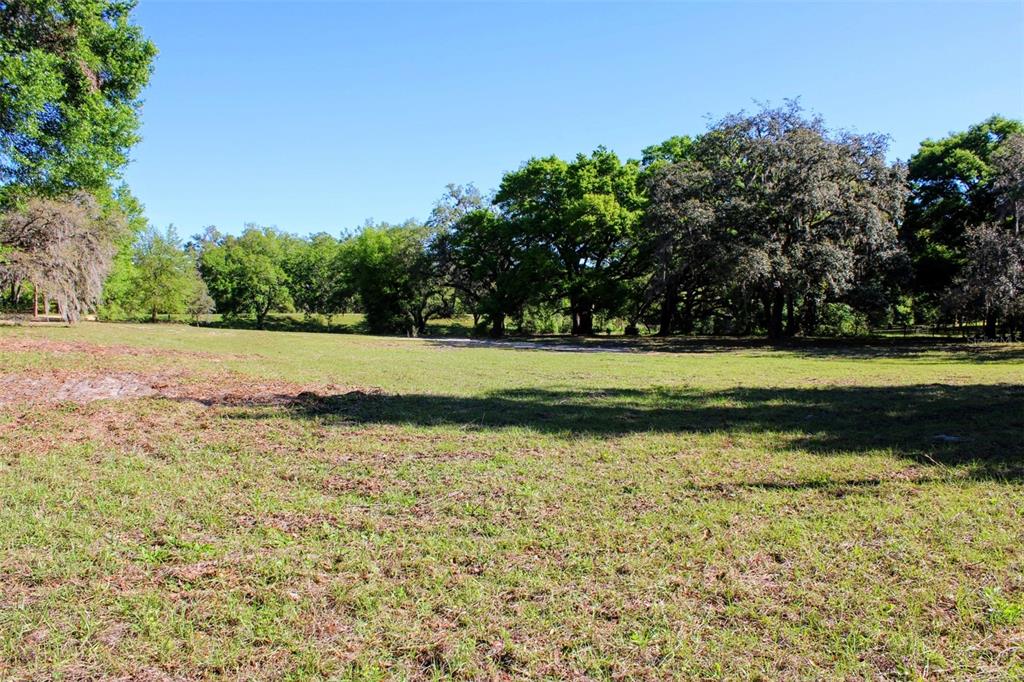 0 St Joe Road Dade City, FL 33525 - Photo 6 of 13