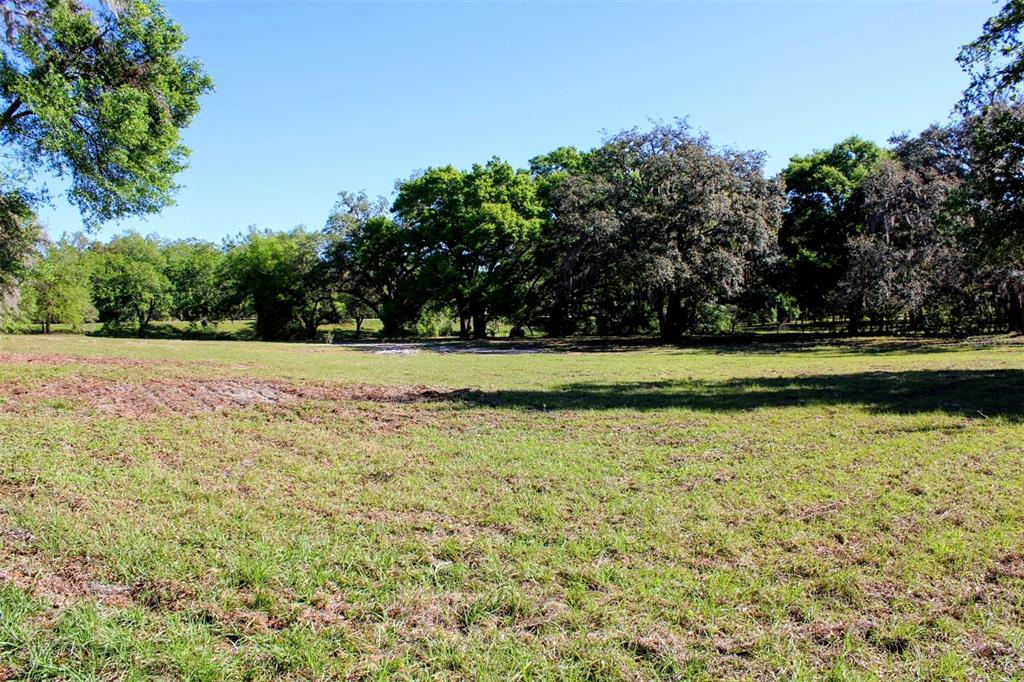 0 St Joe Road Dade City, FL 33525 - Photo 7 of 13
