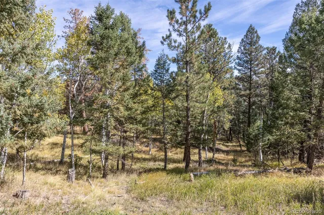 $180,000 | 1845 Burland Drive, Bailey, CO 80421