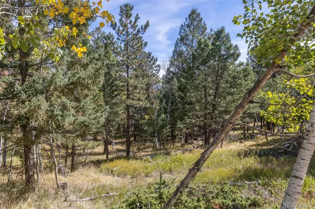$180,000 | 1845 Burland Drive, Bailey, CO 80421