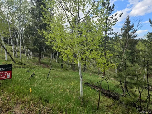 $180,000 | 1845 Burland Drive, Bailey, CO 80421