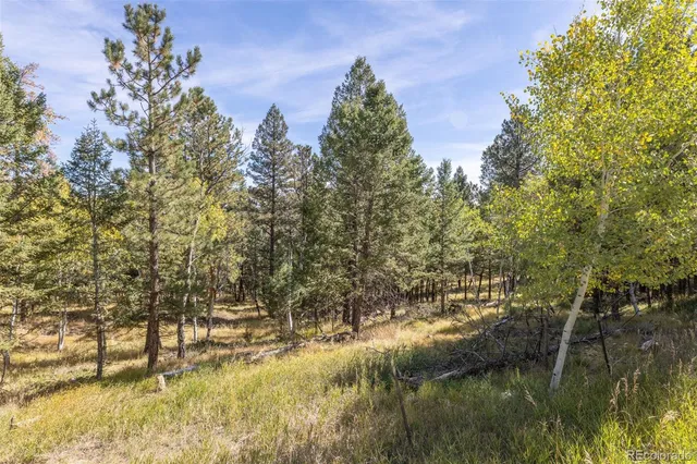 $180,000 | 1845 Burland Drive, Bailey, CO 80421