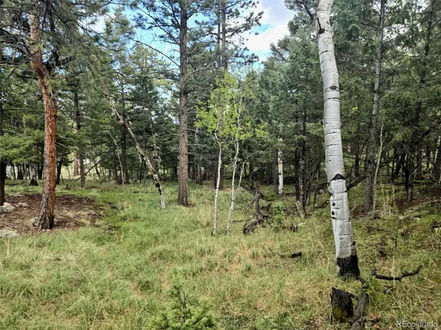$180,000 | 1845 Burland Drive, Bailey, CO 80421