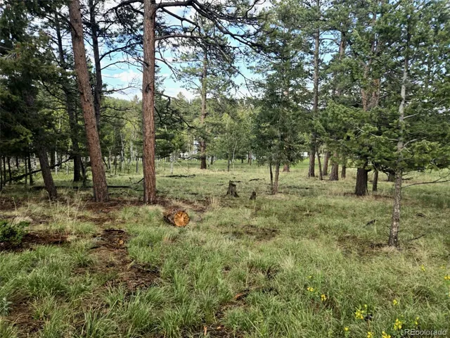 $180,000 | 1845 Burland Drive, Bailey, CO 80421