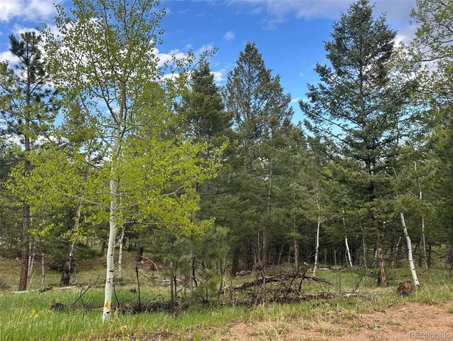 $180,000 | 1845 Burland Drive, Bailey, CO 80421
