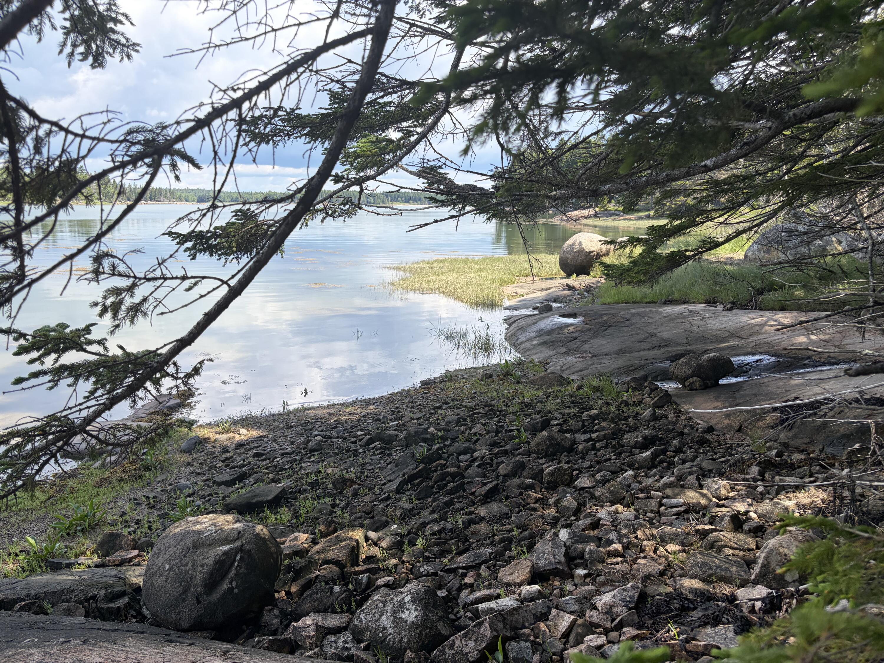 86 Back Shore Road Steuben, ME 04680 - Photo 22 of 24 Rocky Shoreline