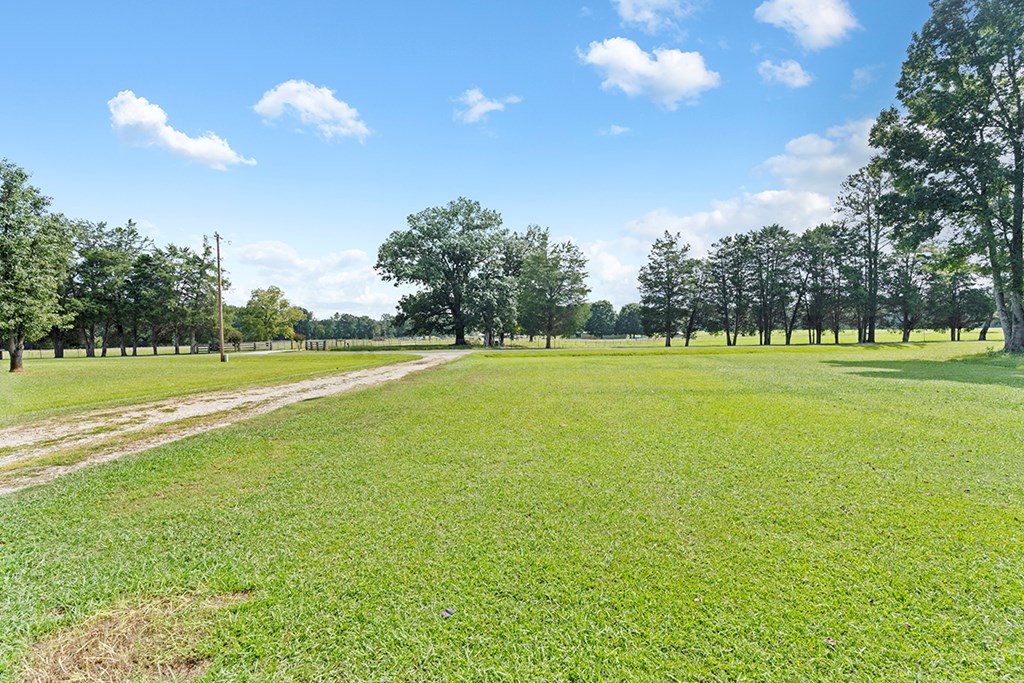 6114 Kinard Road Ninety Six, SC 29666 - Photo 6 of 17 Gallery Image 6