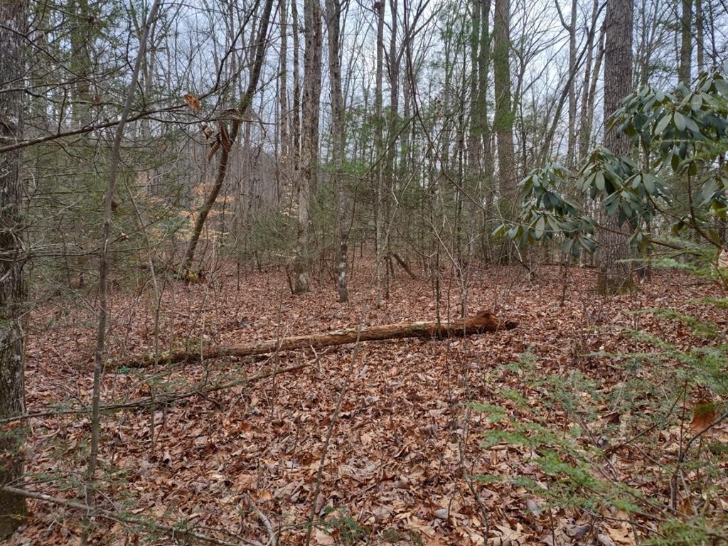 4 Valley Home Road Sevierville, TN 37862 - Photo 5 of 6
