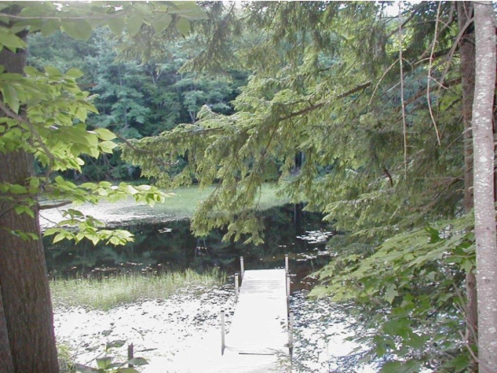 32-34 Goose Pond Road Hanover, NH 03755 - Photo 11 of 28
