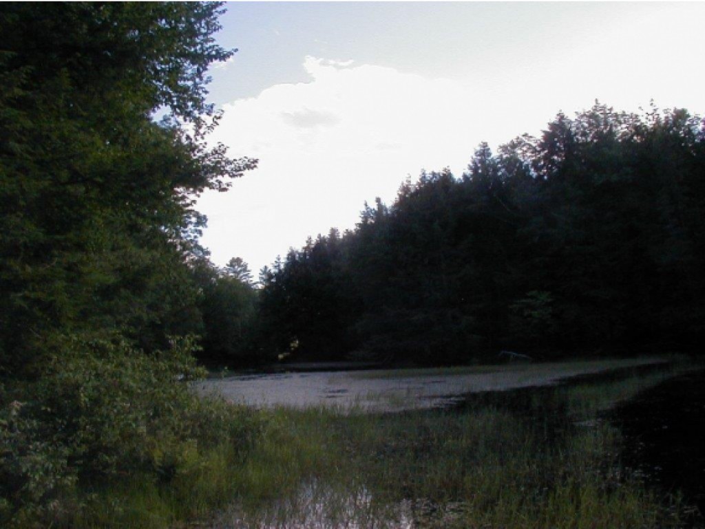 32-34 Goose Pond Road Hanover, NH 03755 - Photo 14 of 28